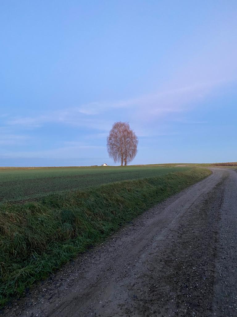 Literarische Wanderung